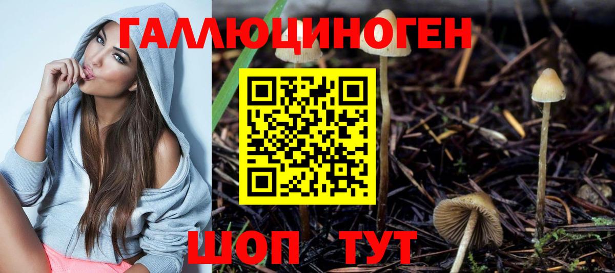Губаха  Псилоцибиновые грибы мицелий  Вход с VPN 